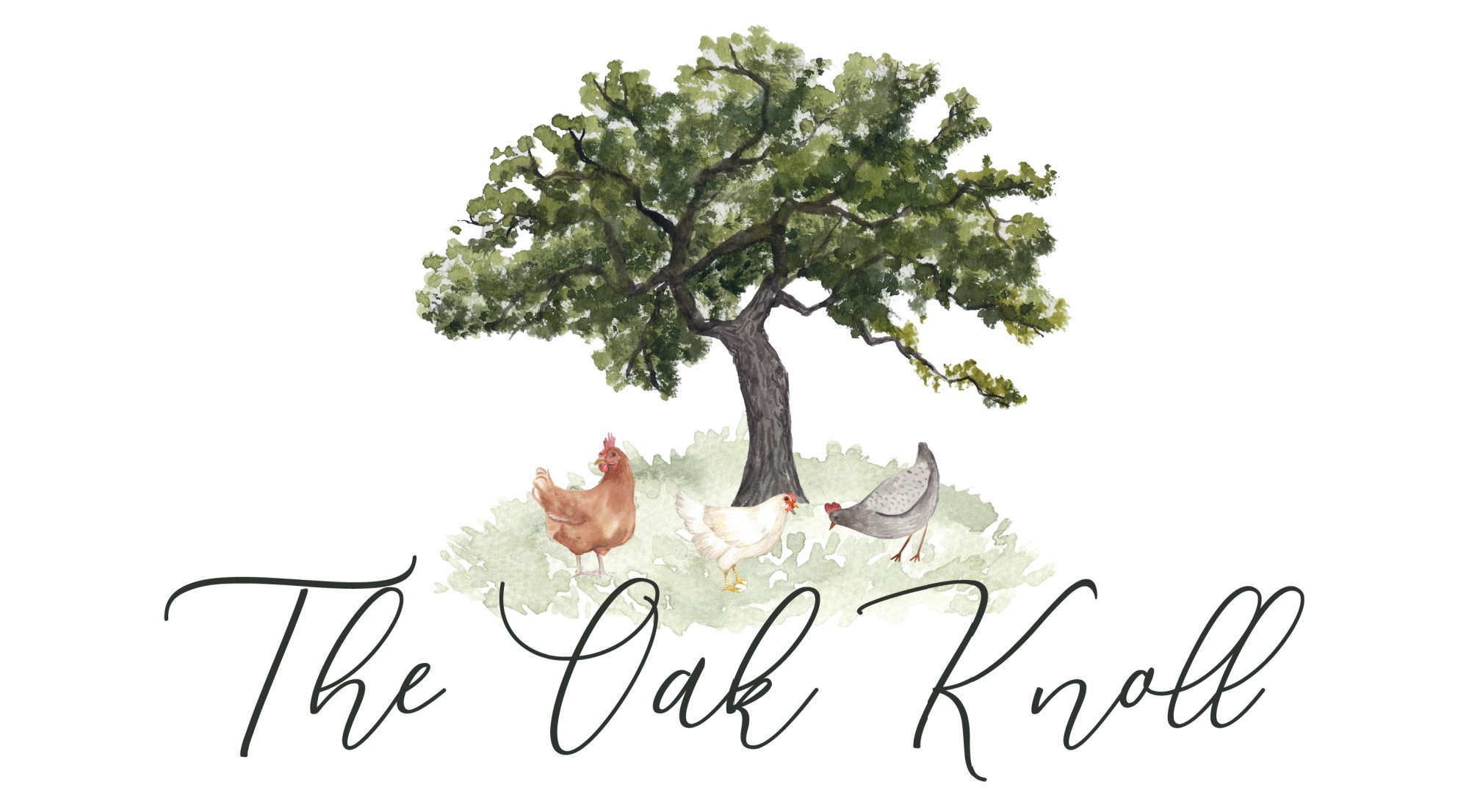 The Oak Knoll Logo
